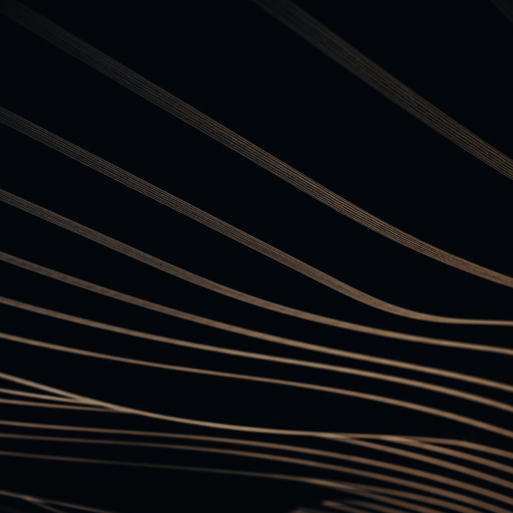 Curved, thin, golden lines on a black background that create an abstract, flowing pattern.