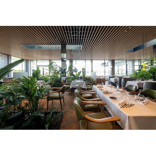 Modernes Restaurant mit Holzdecke, großen Fenstern, Grünpflanzen und weiß eingedeckten Tischen.