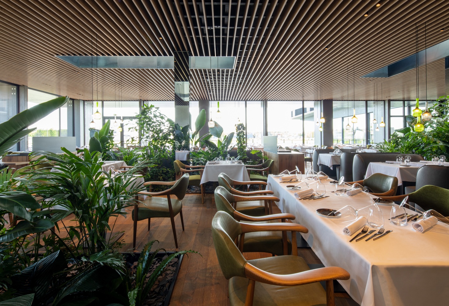 Modern restaurant with wooden ceiling, large windows, green plants and white-clothed tables.