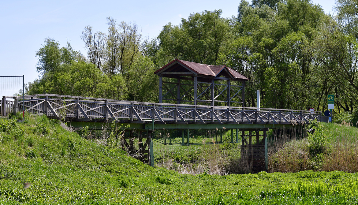 A wooden footbridge with a covered section crosses the green vegetation and a small stream.