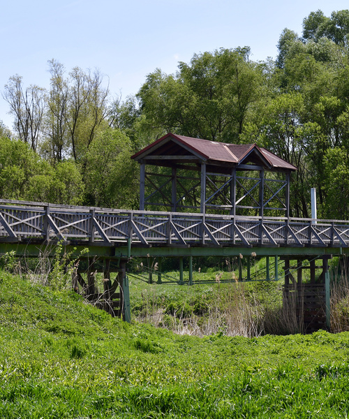 Eine hölzerne Fußgängerbrücke mit einem überdachten Teil überquert die grüne Vegetation und einen kleinen Bach.